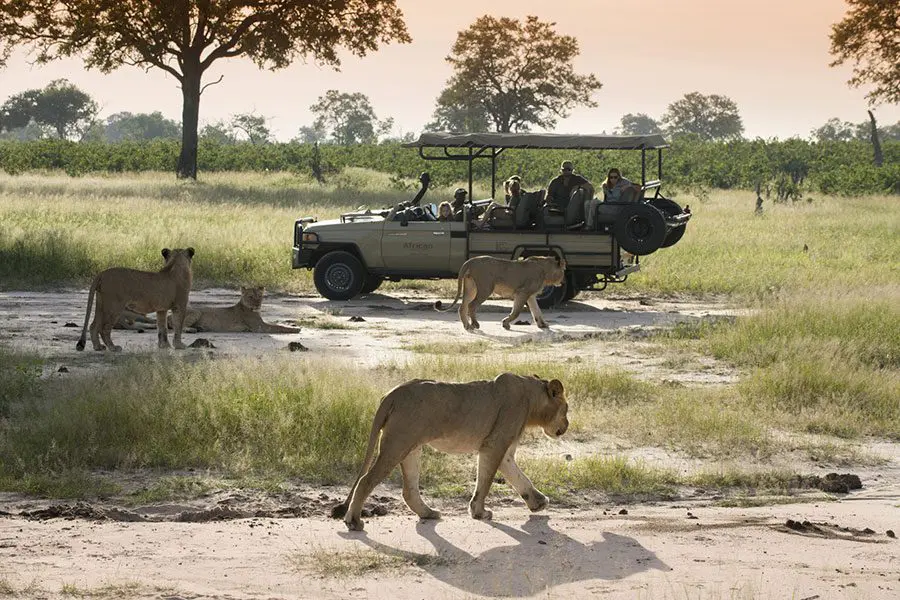 Somalisa-Camp-Hwange-National-Park-Zimbabwe-Luxury-Safari-Lodge-African-Bush-Camps-Game-Drive-2