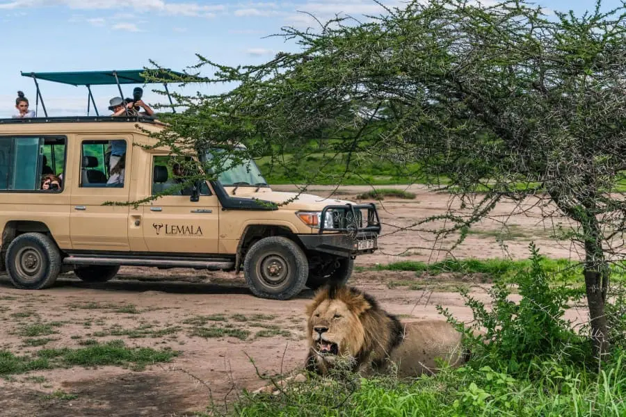 lemala_osonjoi_lodge_game-drives-in-Tanzania