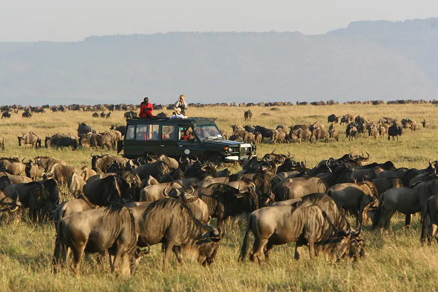 Luxury safari packages put you in the heart of the Great Migration—as wildebeest arrive at Rekero, Kenya.