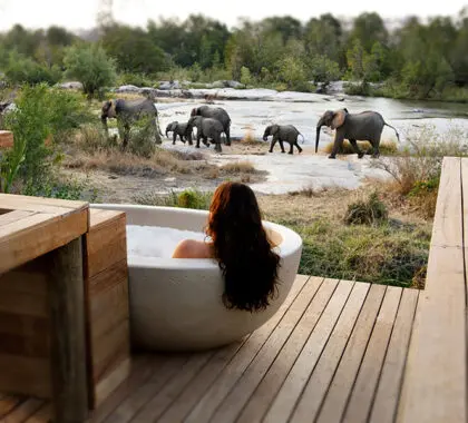 Kruger national park elephant sighting-South-Africa