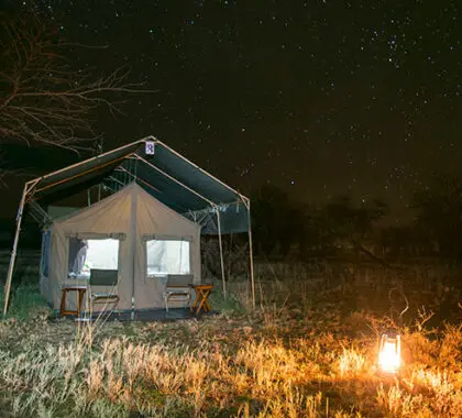 Front row seat wildebeest migration 420x380 SERENGETI VIEW CAMP
