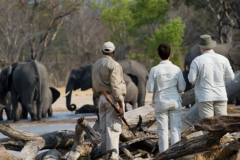 walking safari Makalolo Hwange Zimbabwe