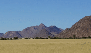 African grass lands and savanna and blue skies