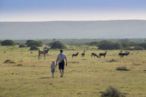 Family Friendly Walking Safari