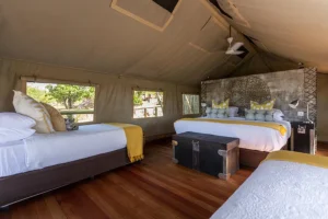 Deteema springs camp Luxury Family Bedroom suite and exterior view of the camp in Hwange Zimbabwe