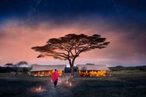 Serengeti Under Canvas Watch the animals on front row seat.