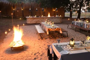 lion camp South-Africa offsite Boma dire dinner