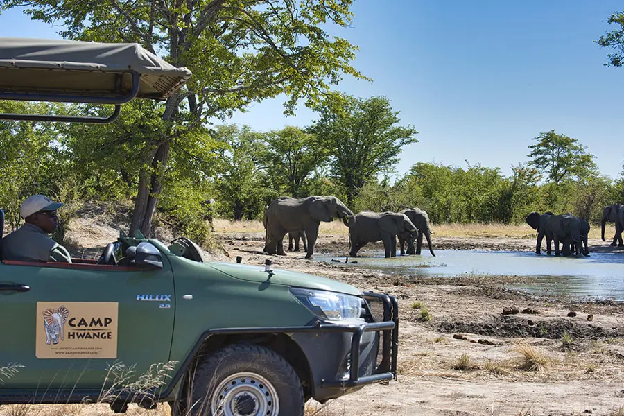 Camp-Hwange-game-drive