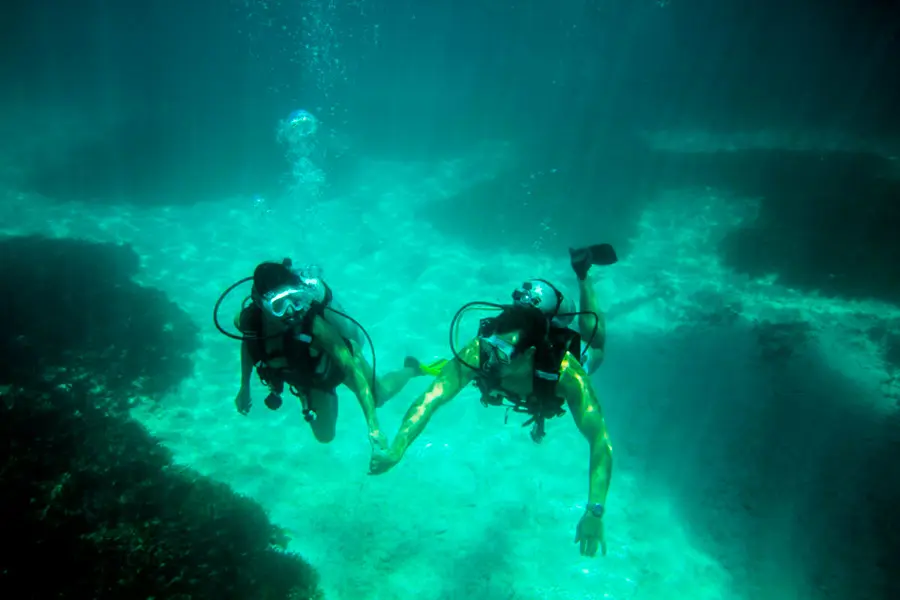 Denis Private Island Leisure Scuba Diving.