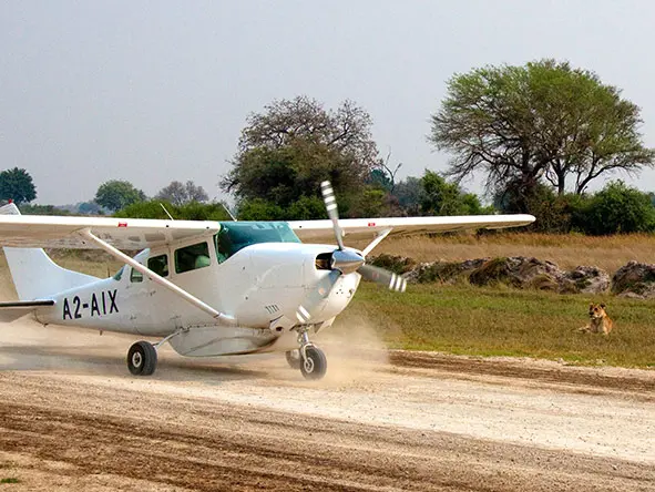 Fly-In-Botswana-Safari
