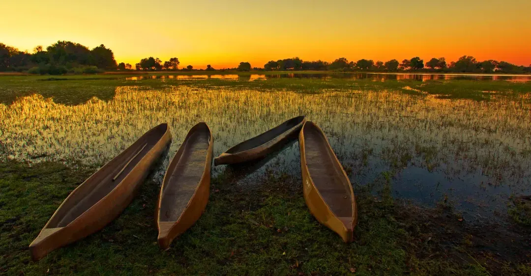 Traditional-canoes for use in the Okavango Delta