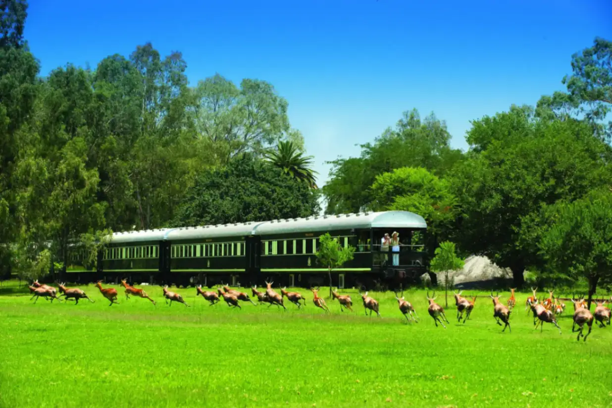 Luxury Rail Journey to Victoria Falls