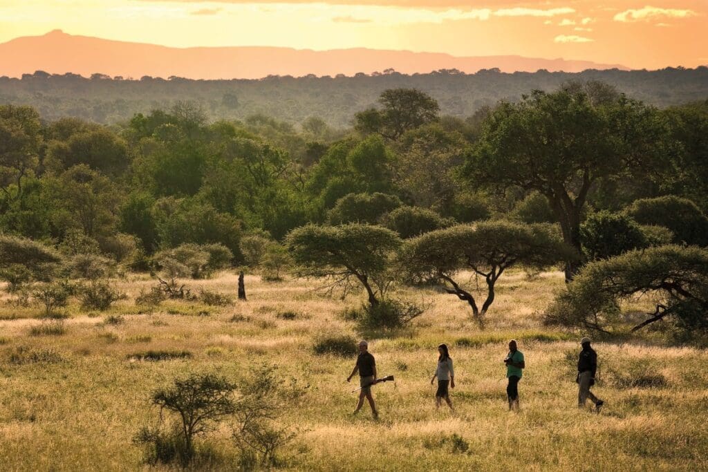 walking safari lion sands lodge