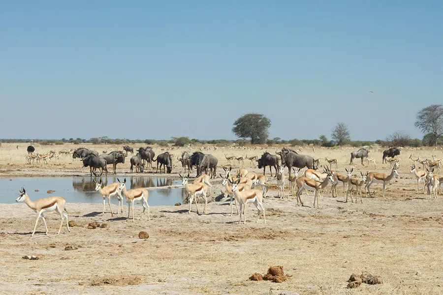 Leroo-La-Tau-Riverside- Lodge-Pan-Tour