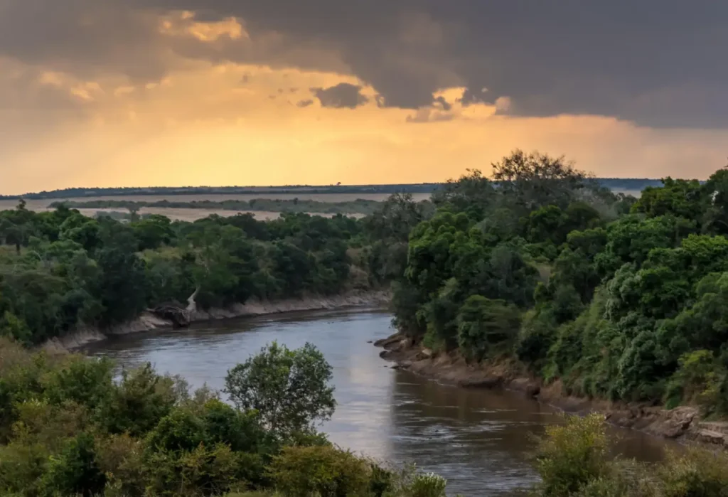 Wildebeest crossing the Mara River near Entim Camp during the Great Migration.