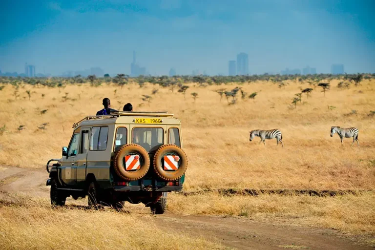Guests on a game drive in an open 4x4 jeep from Nairobi Tented Camp, exploring Nairobi National Park