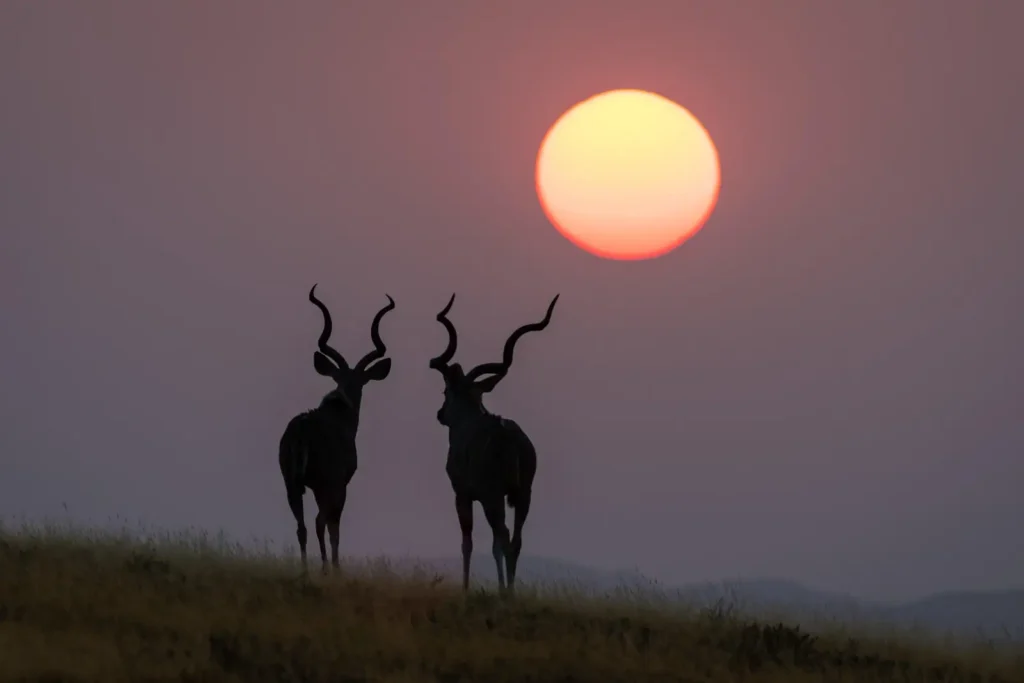 Luxury eco-camp set among dramatic rocky hills and desert plains in Damaraland, Namibia.