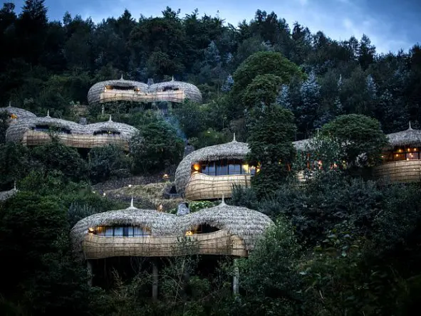 Bisate Lodge located deep in Volcanoes National Park, Rwanda, surrounded by lush forest and volcanic hills.