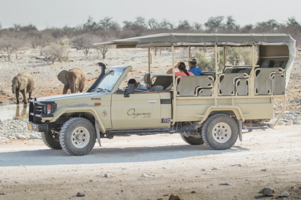 Safari jeep parked near a waterhole as an elephant drinks in Etosha National Park, Namibia