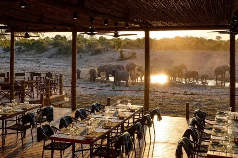 Safari Lodge
