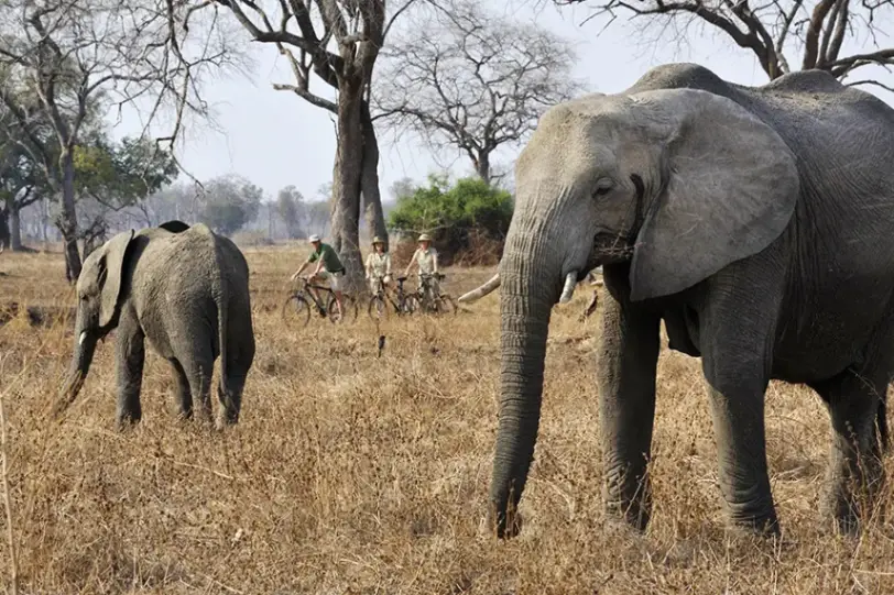 Extreme Remote Safari Experience In Africa (2026-2030)