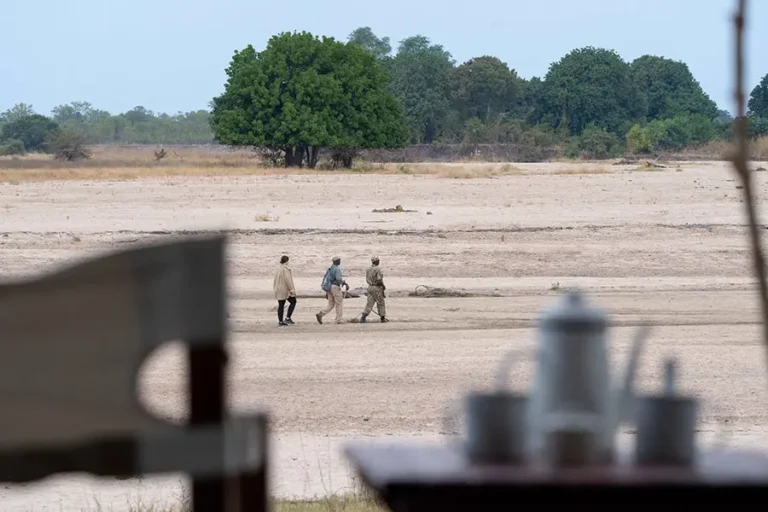 Early morning walking safari at Time + Tide Luwi Camp in South Luangwa National Park, Zambia