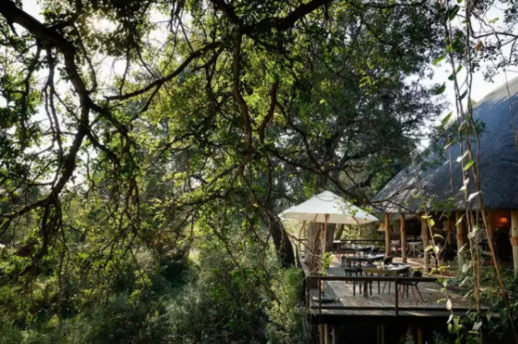 Malewane Lodge viewing deck overlooking the bush at Royal Malewane in Thornybush Private Game Reserve near Kruger National Park
