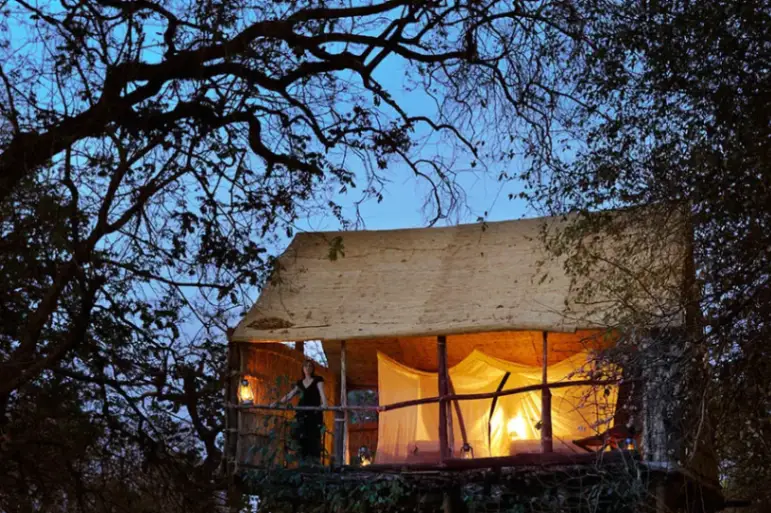 Chikoko Tree Camp chalets immersed in nature in South Luangwa National Park Zambia