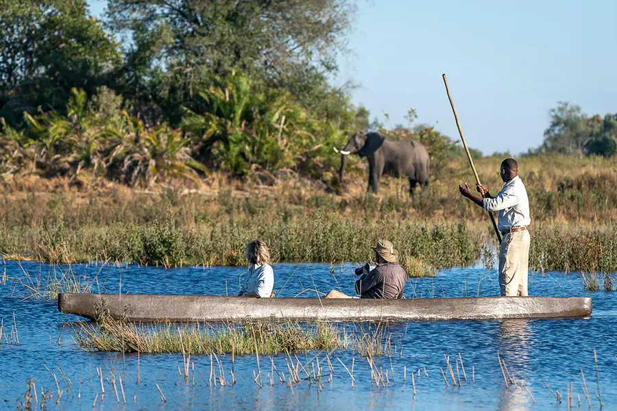 Mokoro safari at Jao Camp in the Okavango Delta with an elephant walking through shallow floodplains nearby