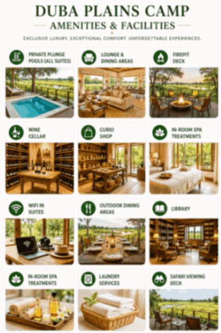 AI-generated infographic of Duba Plains Camp amenities and facilities featuring plunge pools, lounge areas, spa treatments, library, wine cellar, and safari viewing deck in Okavango Delta.