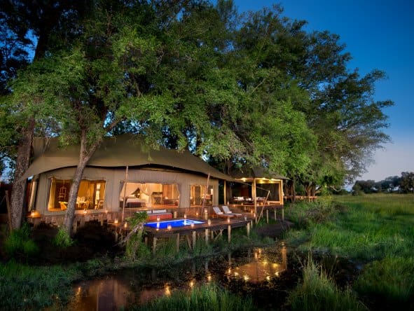 Duba Plains Camp Botswana 2026 Safari Price Guide