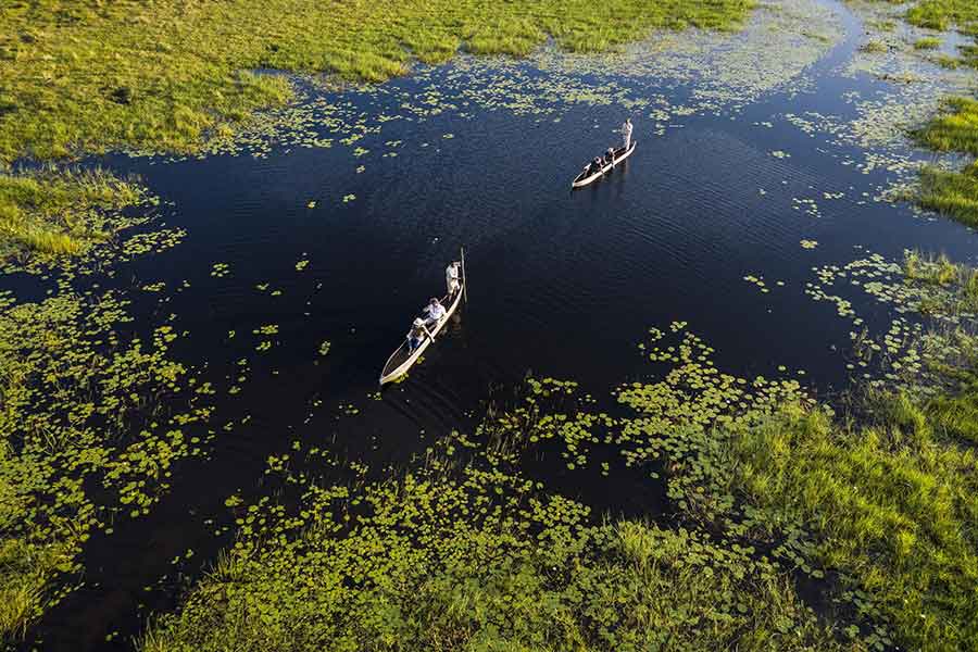 Mokoro canoe safari in the Okavango Delta near Xigera Safari Lodge with guests exploring papyrus-lined waterways.