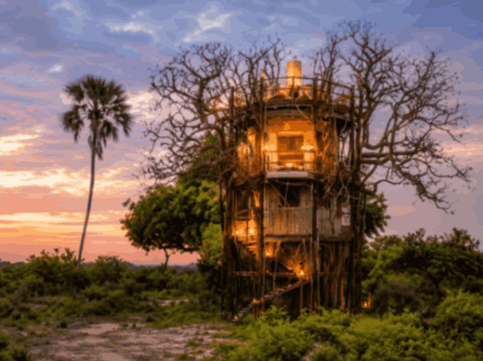 Xigera Safari Lodge (Xigera Camp) Botswana Price 2026: Luxury Safari Review